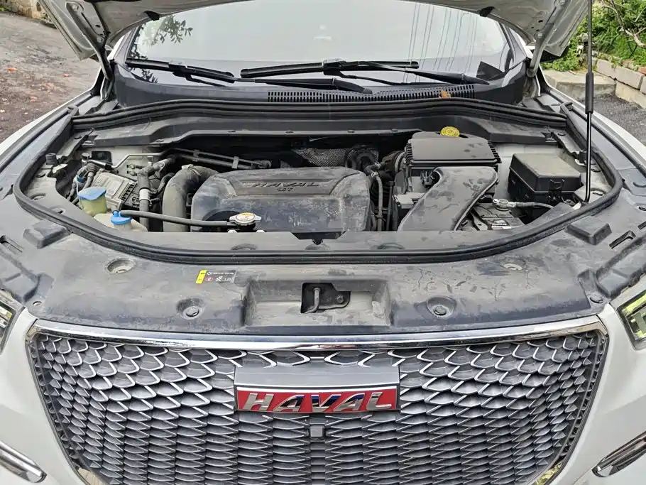 Photo 10 - Haval H2s