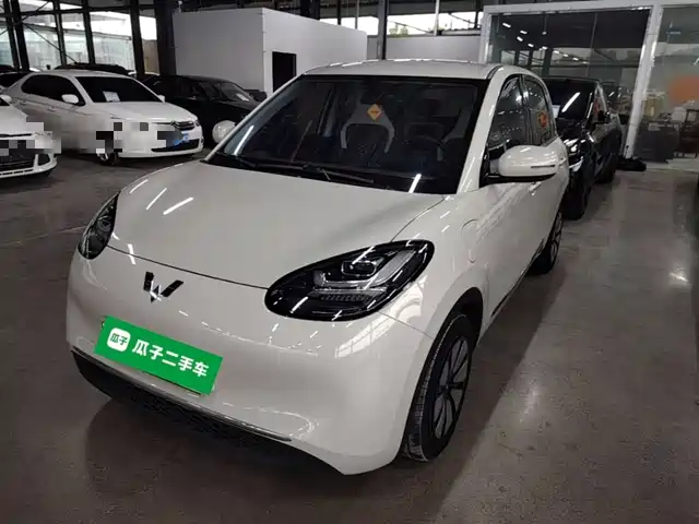  Wuling Motors Wuling Bingo 2024 333km Comfort Edition