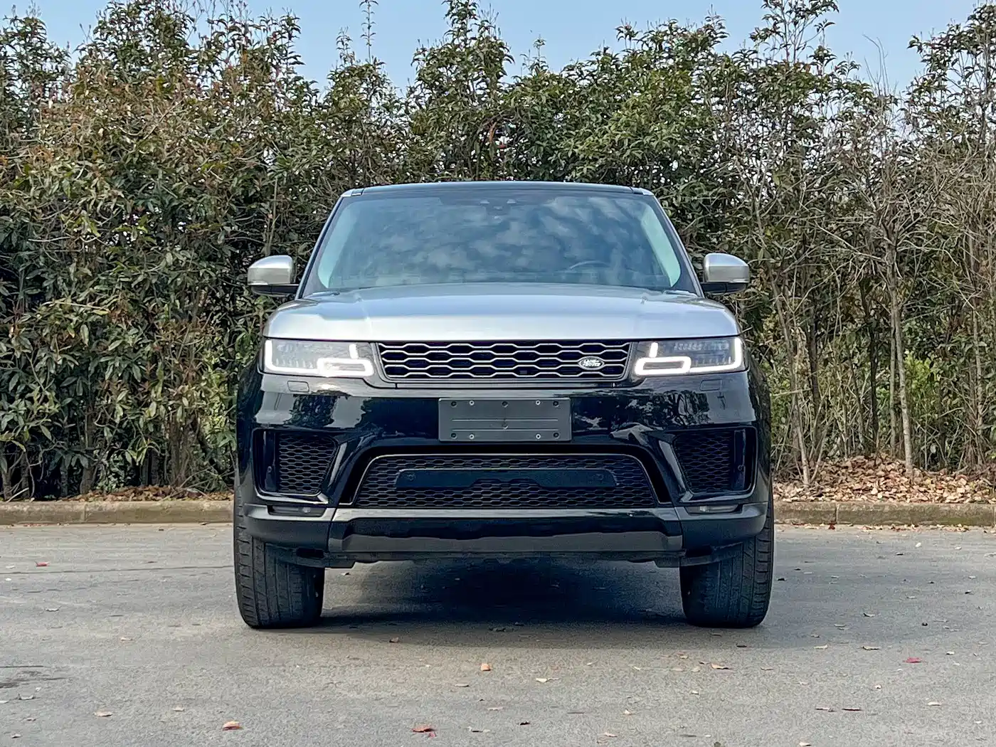 Land Rover Range Rover Sport 2020 3.0 L6 SE фото 2