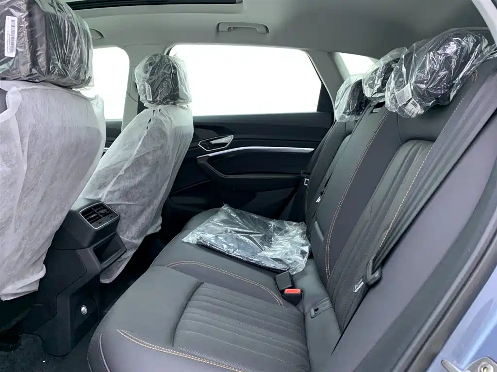 Audi e-tron 2021 50 quattro Luxury фото 13