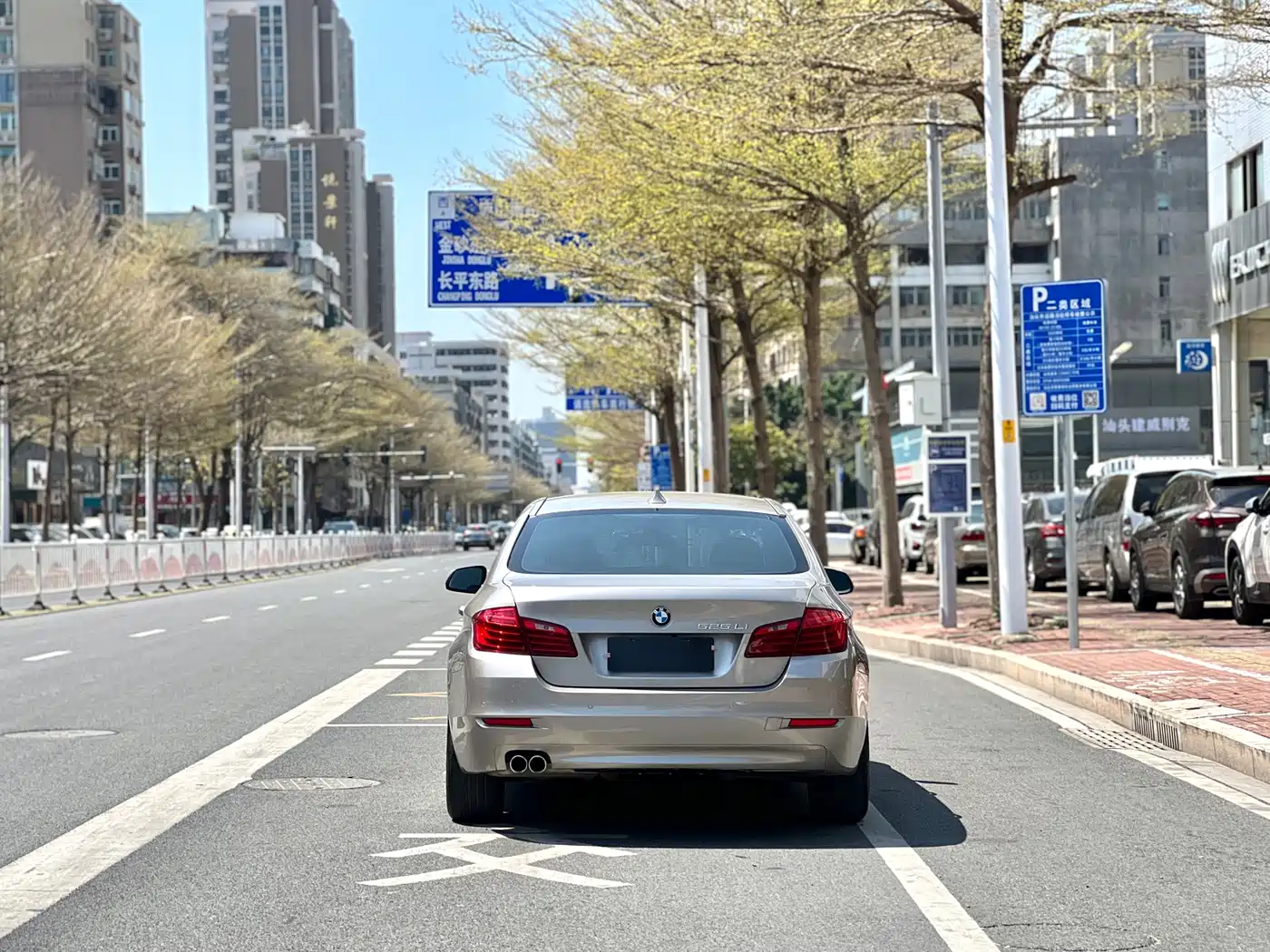 BMW 5 Series 2014 525Li Leading фото 11