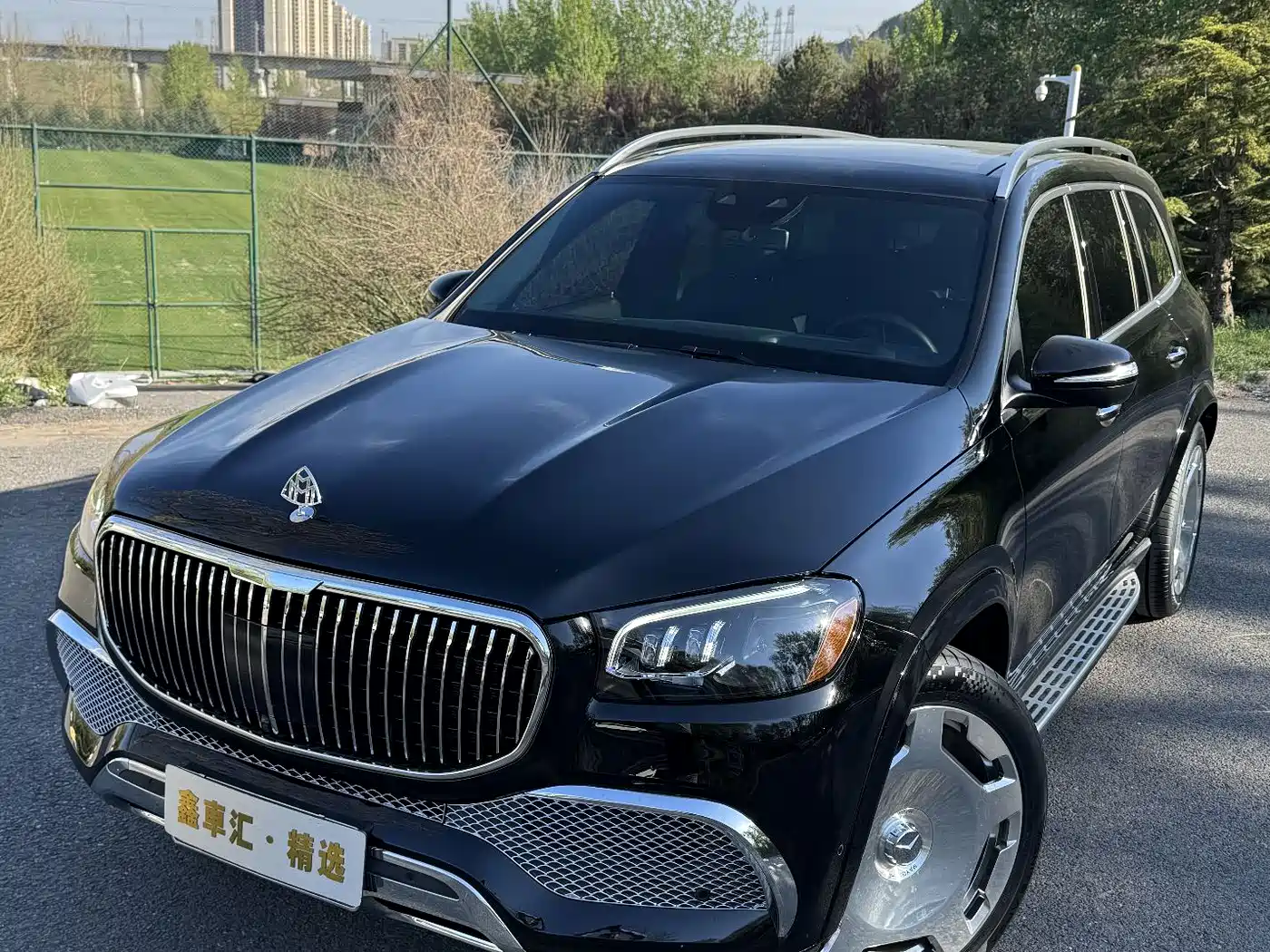Mercedes-Benz GLS 2023 GLS 450 4MATIC Luxury Edition фото 6