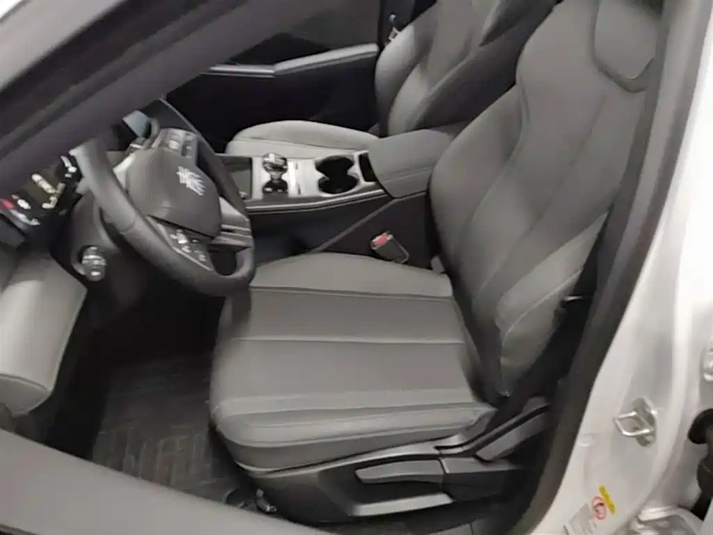 BYD Qin PLUS 2025 DM-i Smart Drive 55KM Leader фото 15