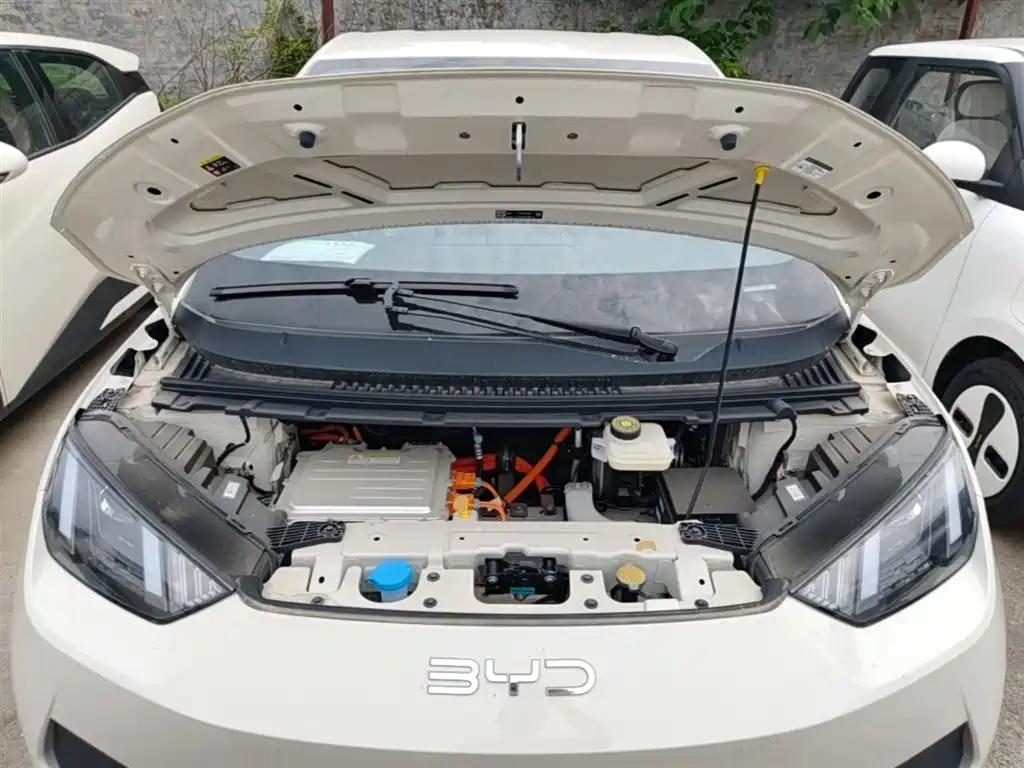 BYD Seagull 2025 Smart Drive Edition 305km Vitality Version фото 20