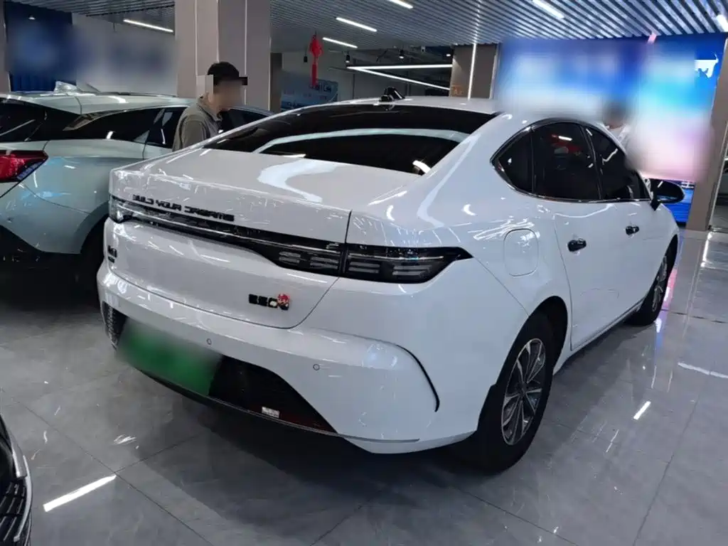 BYD Destroyer 05 2024 Glory Edition DM-i 55KM Luxury фото 7