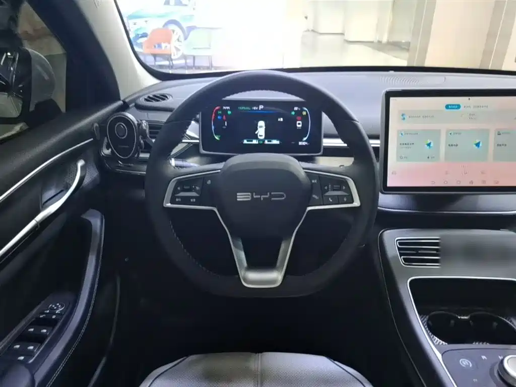 BYD Destroyer 05 2024 Glory Edition DM-i 55KM Luxury фото 11