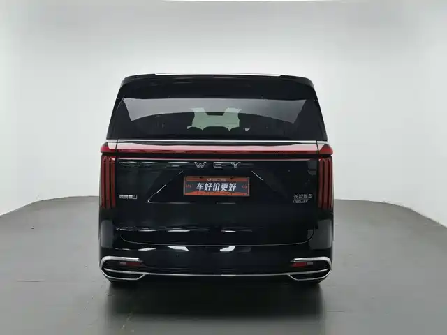 WEY Alpine 2023 AWD Flagship — фото 4