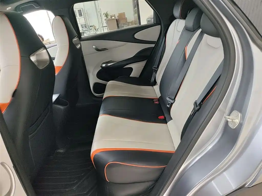 BYD Dolphin 2021 Model 405km Fashion Edition фото 16