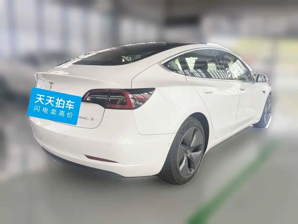 Tesla Model 3 2020 2019 Standard Range Rear-Wheel Drive Upgrade