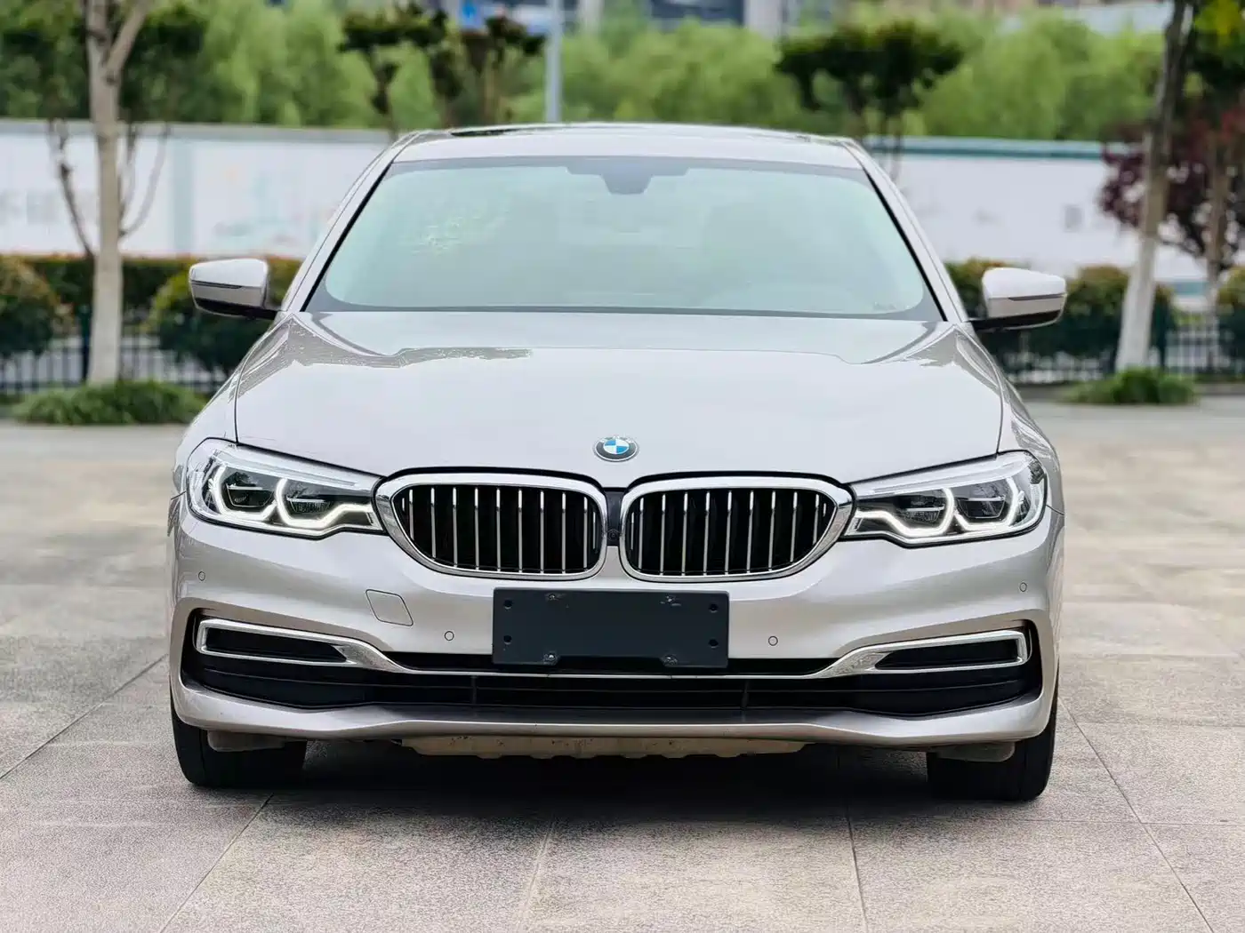 BMW 5 Series 2020 530Li Leading Luxury Package фото 2