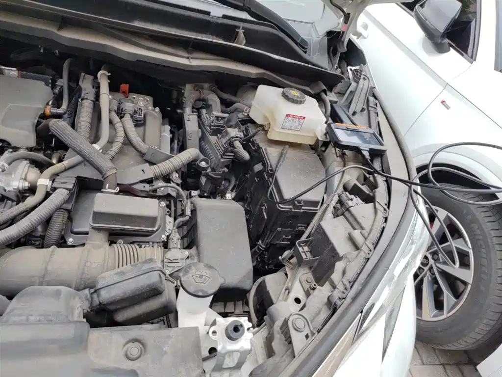 Toyota Sienna 2024 2.5L Hybrid Comfort Edition фото 22