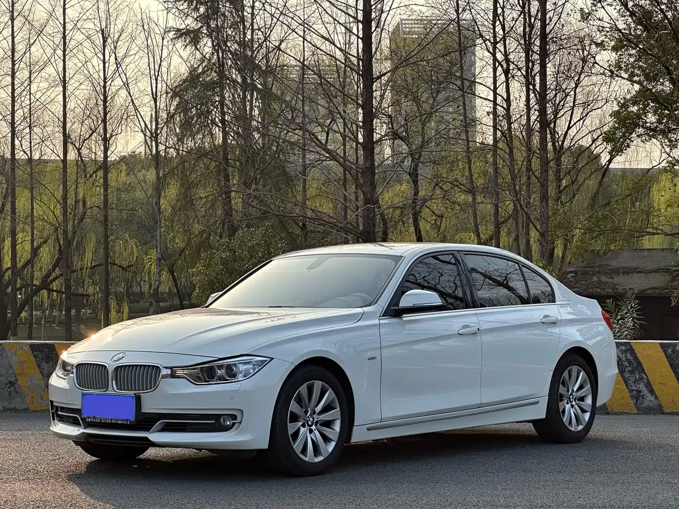 BMW 3 Series 2014 320Li Style Design Package