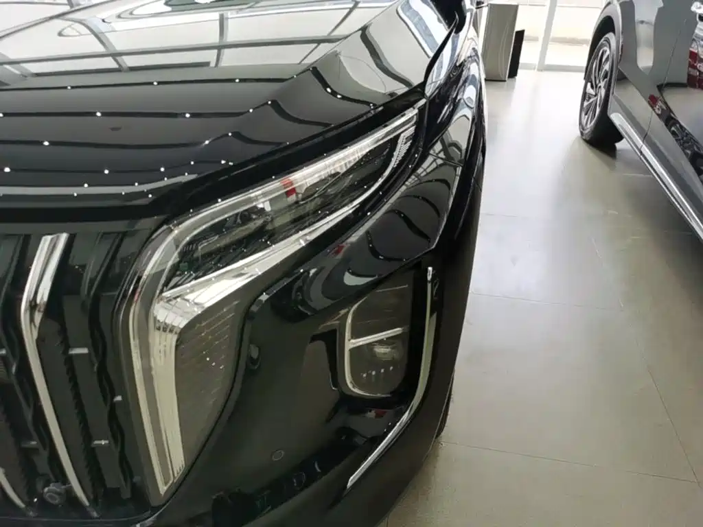 صورة 24 - Hongqi HS7 PHEV