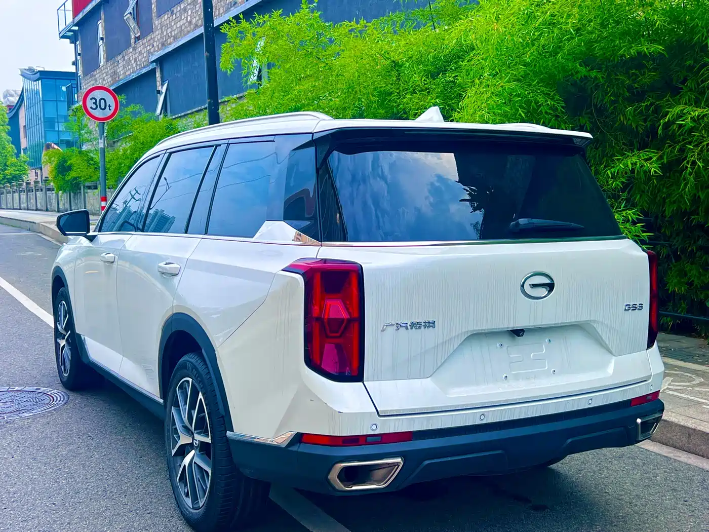 GAC Trumpchi Trumpchi GS8 2022 Pilot Series 2.0TGDI 2WD Luxury Smart Connect Edition (7-Seater) фото 7