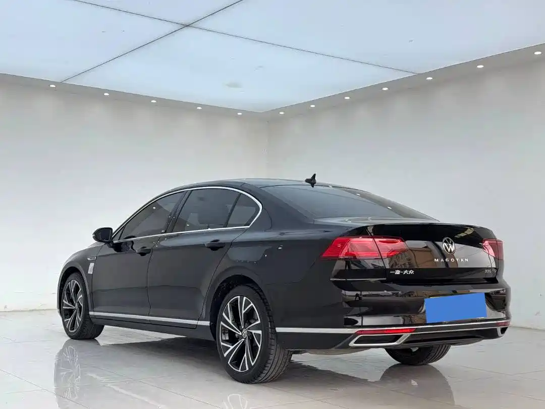 صورة 8 - Volkswagen Magotan