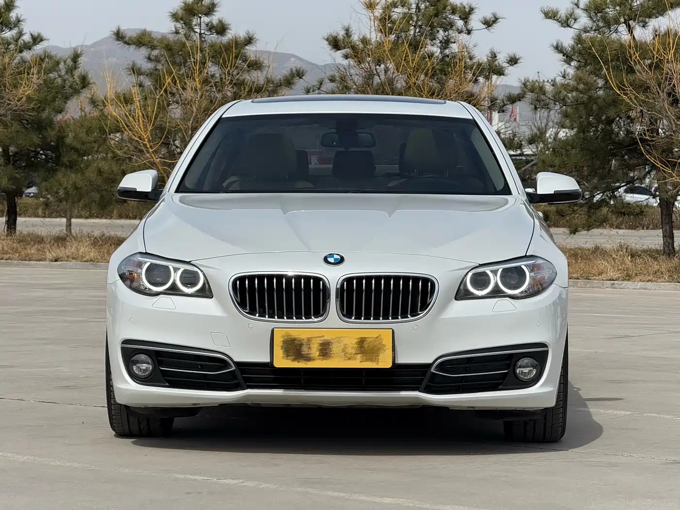 BMW 5 Series 2014 525Li Luxury Design Package фото 5