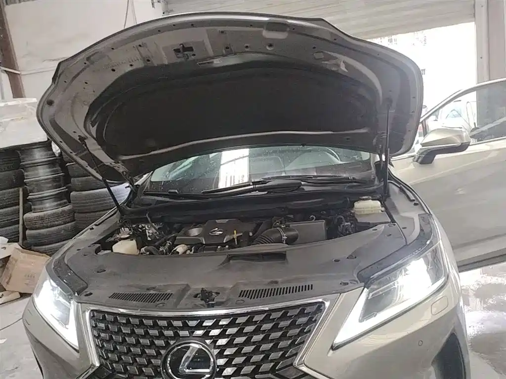 Lexus RX 2020 Facelift 300 2WD Elite Edition фото 20