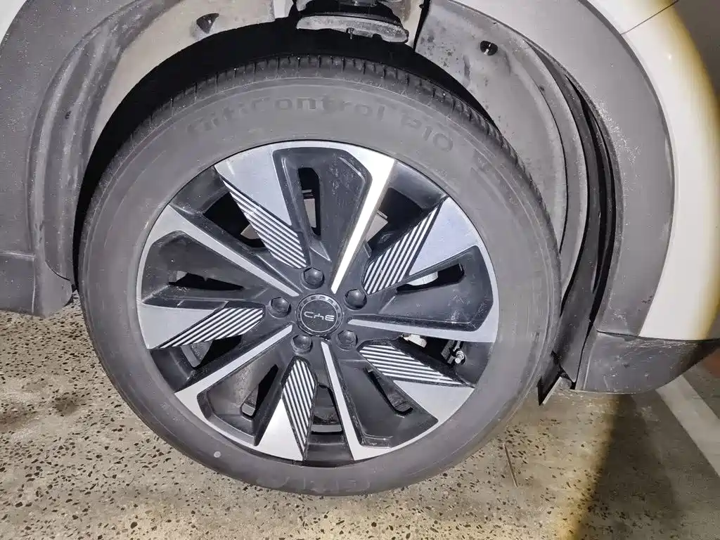 Фото 25 - BYD Song PLUS PHEV