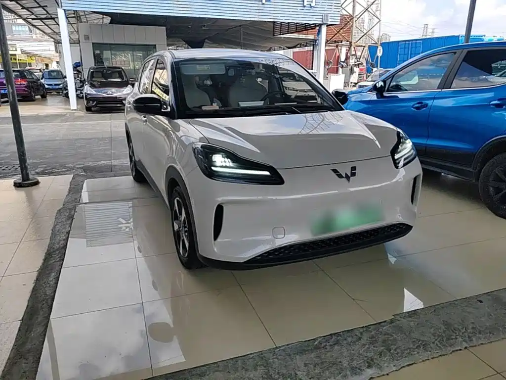 Wuling Motors Wuling Binguo PLUS 2024 2024 Model 330km 5-Seater