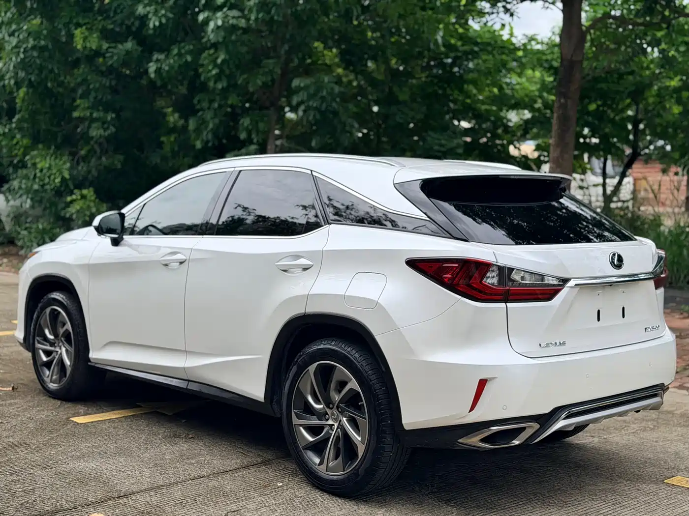 Lexus RX 2016 300 4WD Elegance Edition (China V) фото 4
