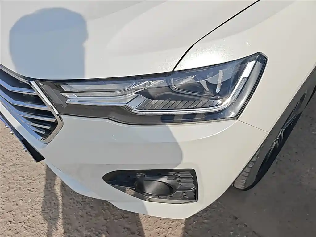 Haval H4 2020 Enjoy Edition 1.5T DCT Smart фото 24