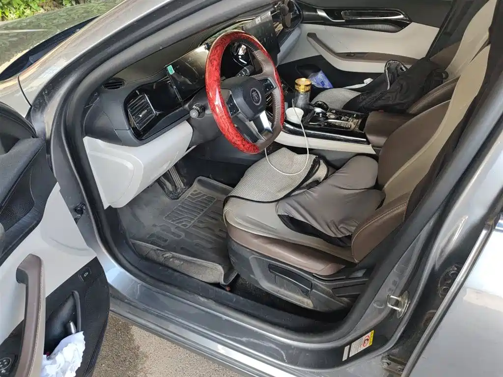 BYD Qin PLUS 2024 Glory Edition DM-i 55KM Leading фото 20