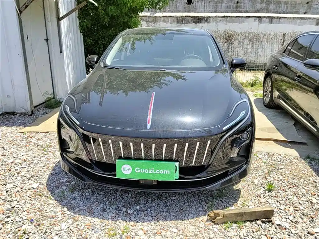 Hongqi E-QM5 2023 Facelift Basic Travel Edition фото 3