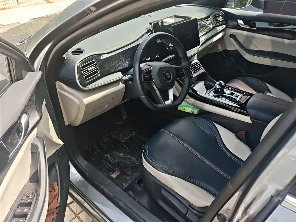 BYD Qin PLUS 2021 DM-i 55KM Premium фото 12