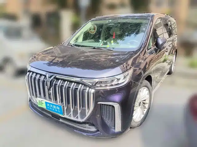 Voyah Auto Voyah Dreamer 2024 PHEV Extended Range Premium Edition — фото 1