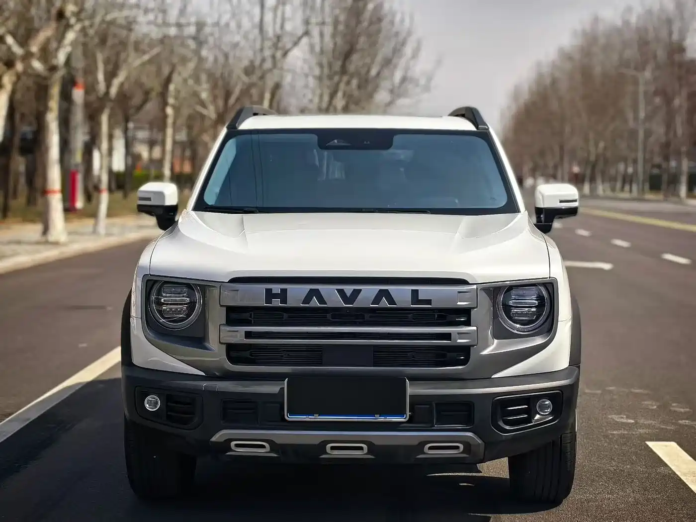 Haval Big Dog 2024 1.5T DCT Border Collie Edition фото 2