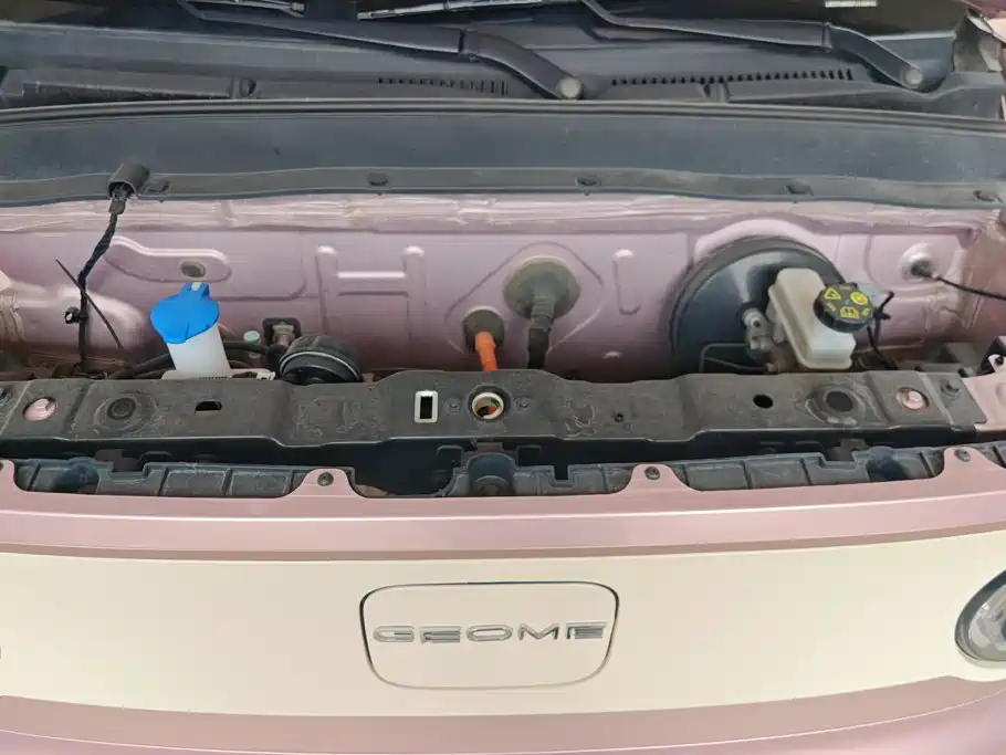  Geely Galaxy Panda 2023 Panda Mini 200km Endurance Bear 10