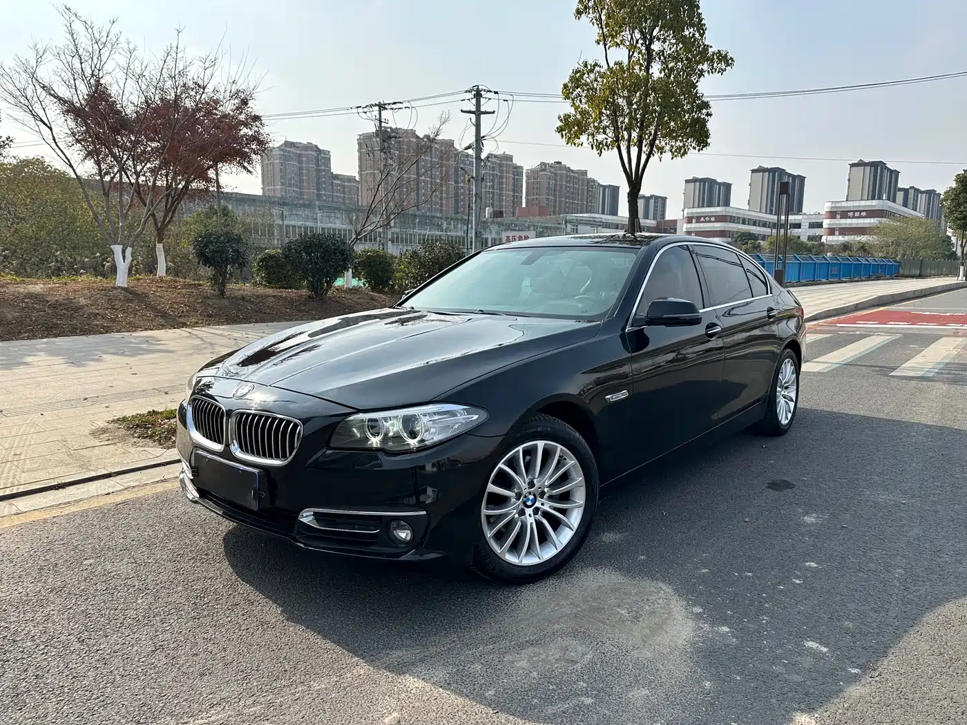 BMW 5 Series 2014 525Li Luxury Design Package