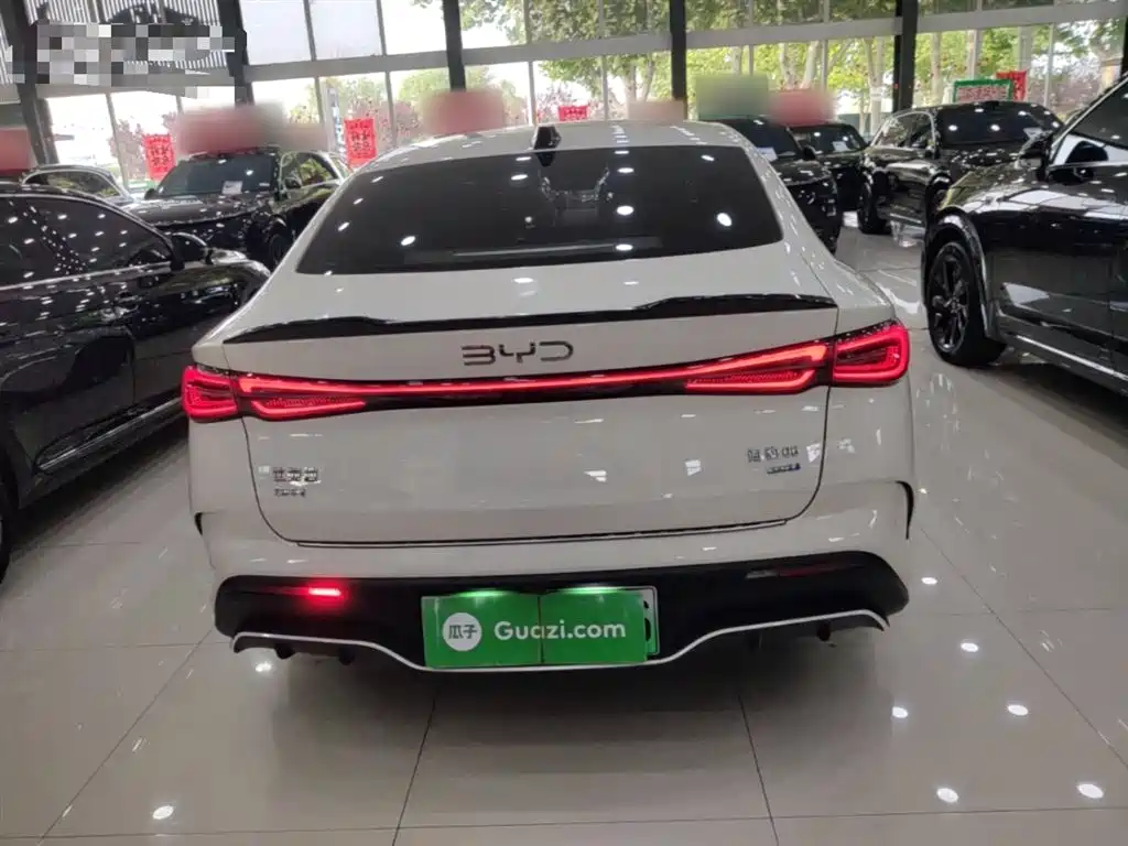 BYD Seal 06 New Energy 2025 DM-i Smart Drive 80KM Luxury фото 6