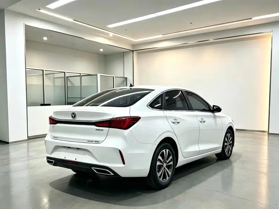 Фото 9 - Changan Eado
