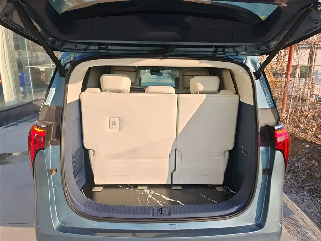 Buick Century 2023 2.0T 7-Seater World Edition фото 9