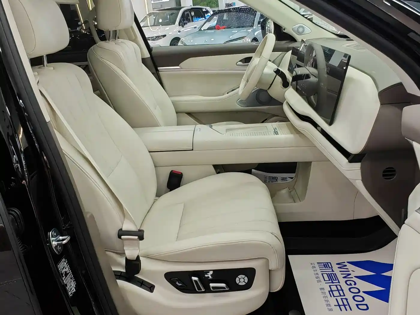 WEI PAI WEI BRAND BLUE MOUNTAIN