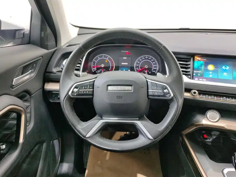 Haval H6 2020 2.0GDIT Automatic Platinum Champion Edition фото 15