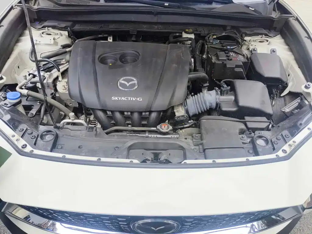 Mazda CX-30 2023 2022 2.0L Automatic Elegant Joy Model