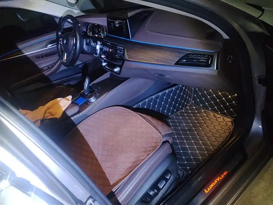 BMW 5 SERIES NEW ENERGY