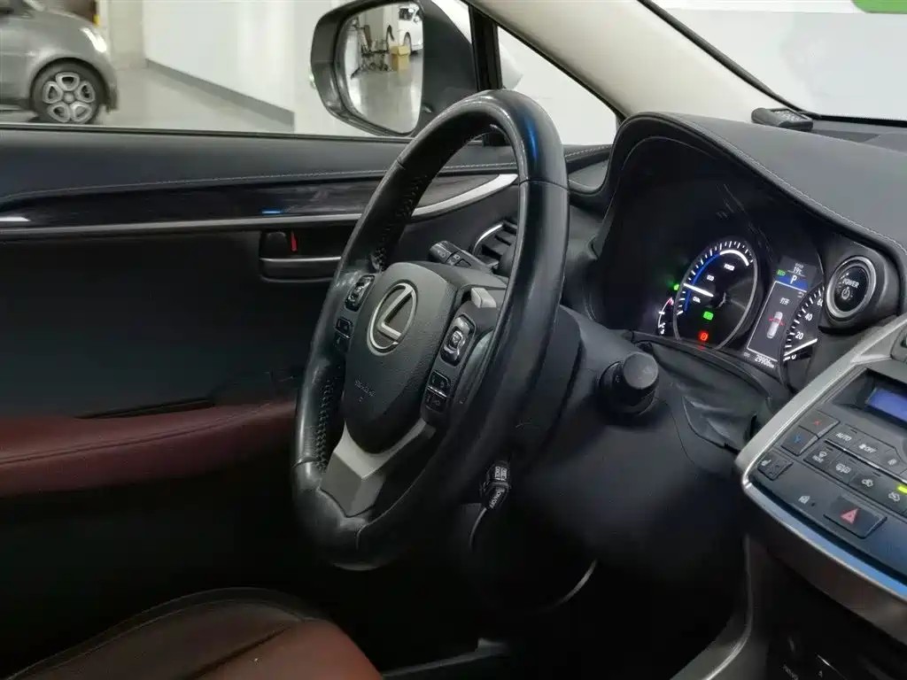 Lexus NX 2015 300h AWD F SPORT фото 22