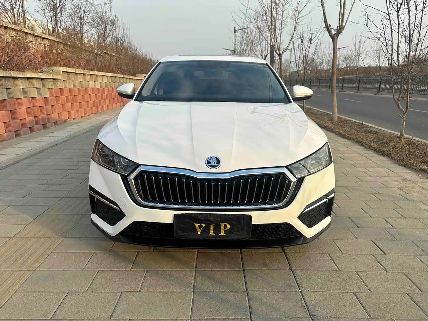 Škoda Octavia 2022 PRO TSI280 Premium Edition фото 2