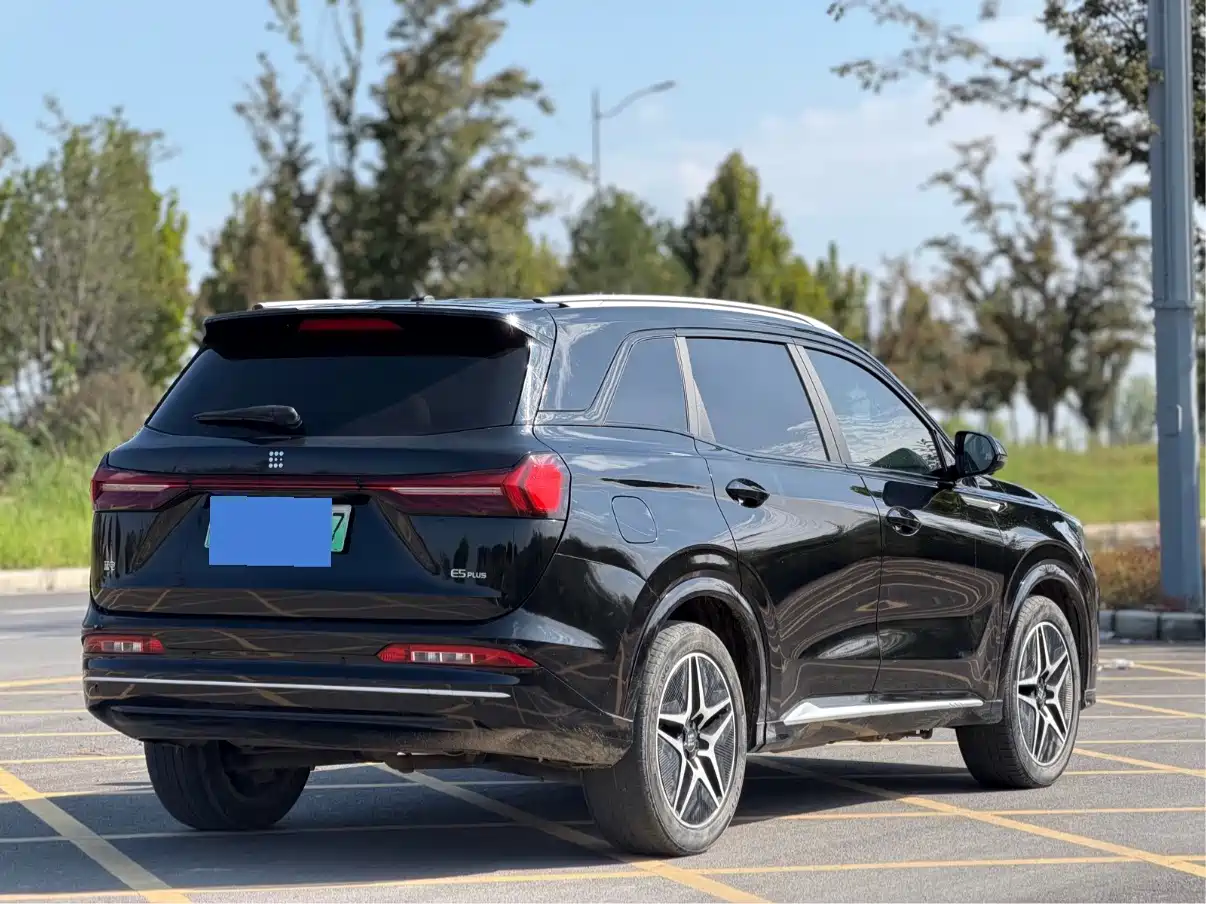 Landian E5 2024 2024 Glory Edition 100KM Premium Type 7-Seater