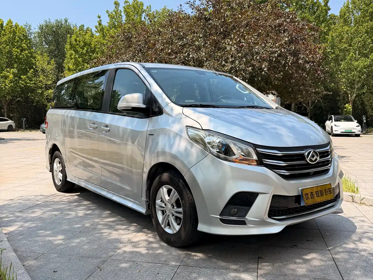 Фото 5 - Maxus G10