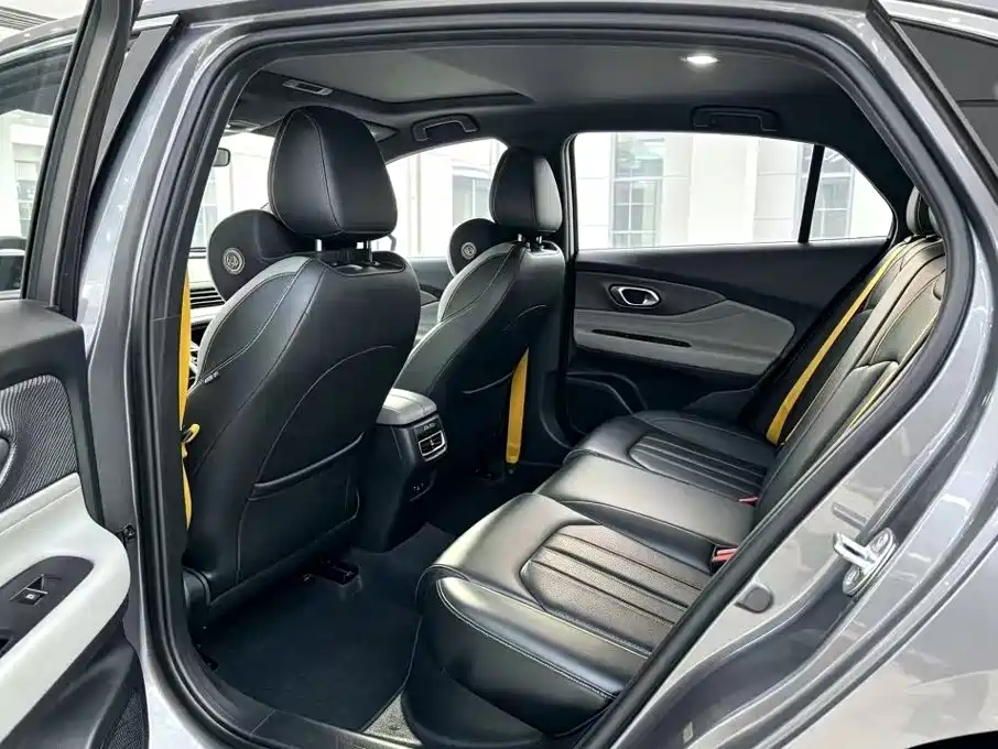Фото 6 - GAC Trumpchi Trumpchi Emkoo
