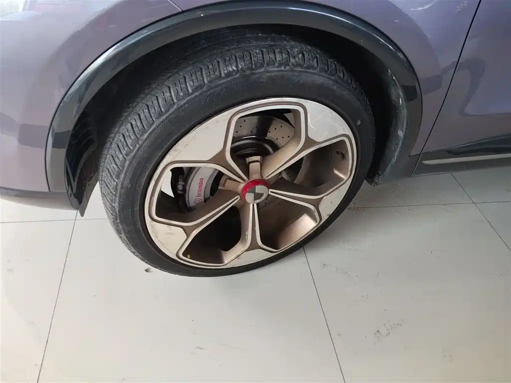 Denza X 2020 Model PHEV Flagship Edition фото 23