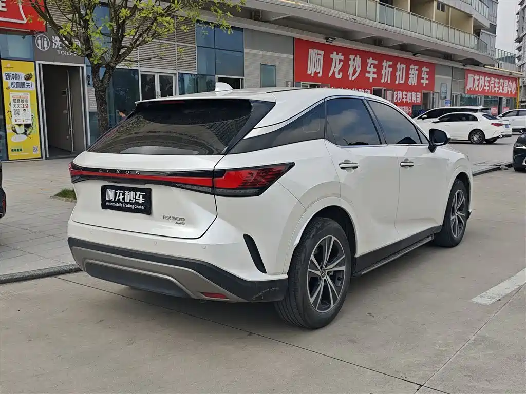 Фото 5 - Lexus RX