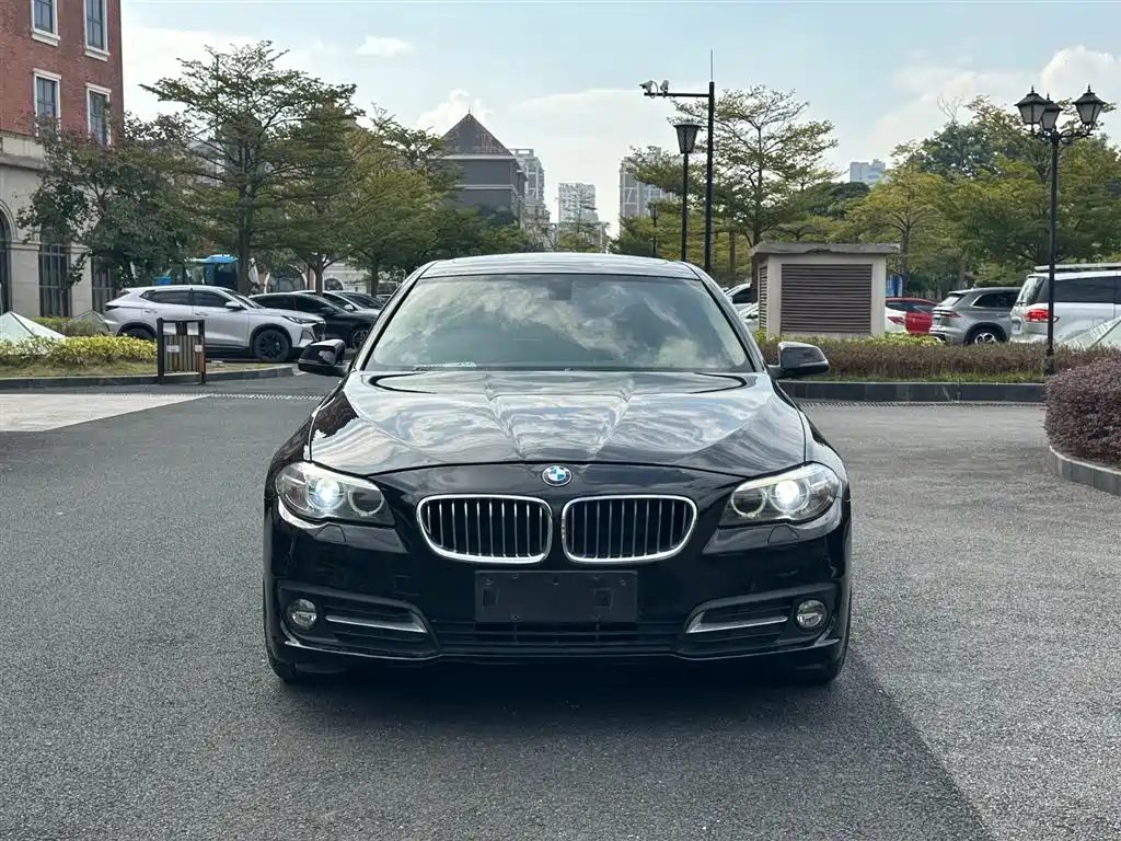 BMW 5 Series (Import) 2015 520i Elegance фото 2