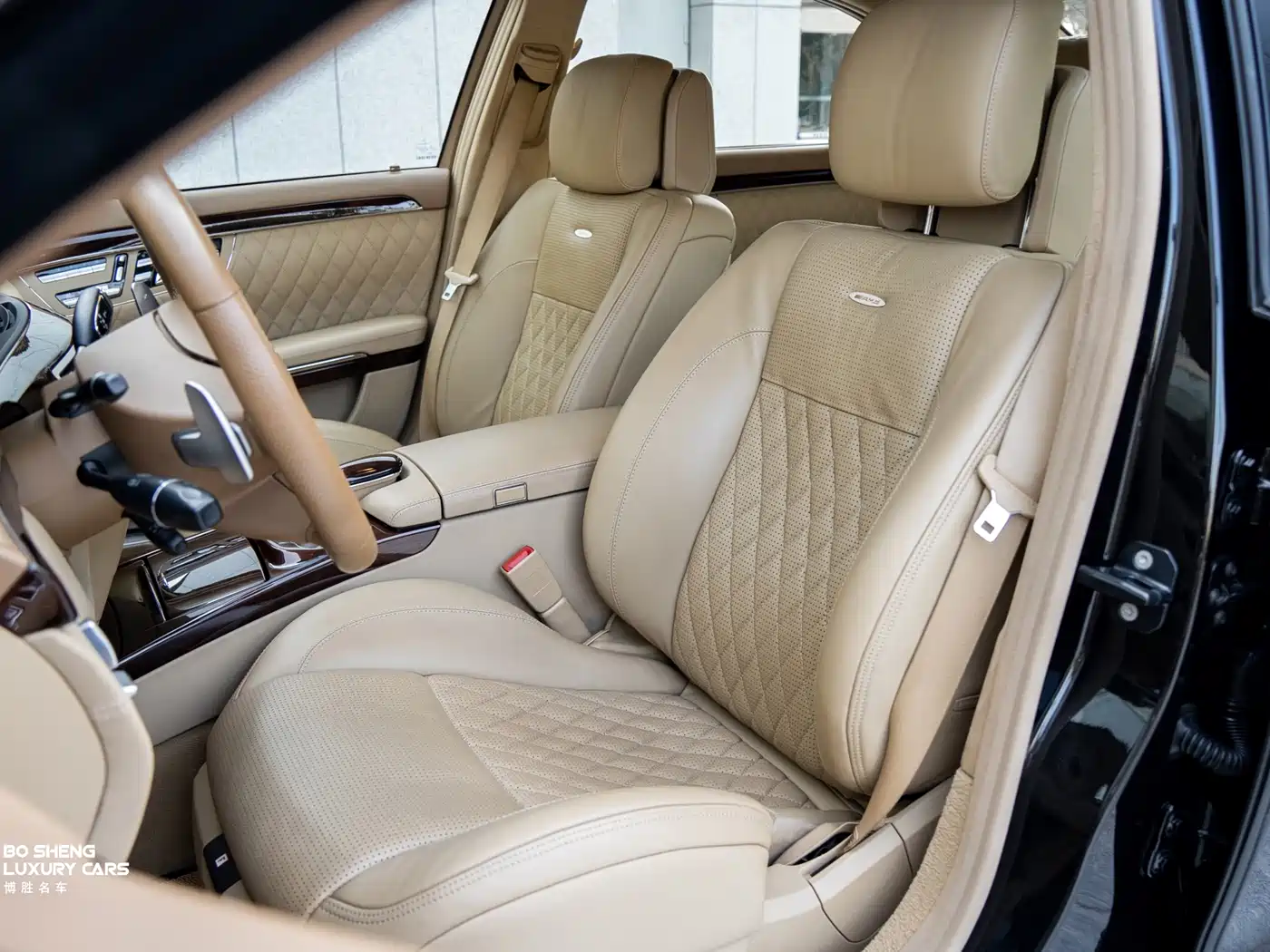 Mercedes-Benz S-Class AMG 2010 AMG S 65 фото 31