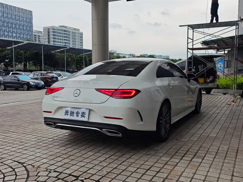 Mercedes-Benz CLS 2018 CLS 300 Luxury фото 7