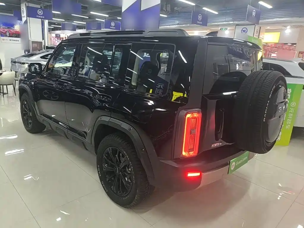 Photo 5 - Haval Raptor